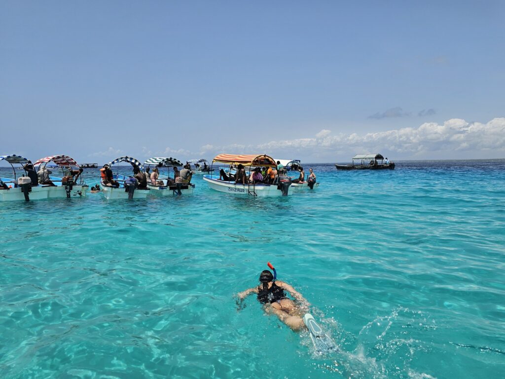 Mnemba Snorkeling & Turtles