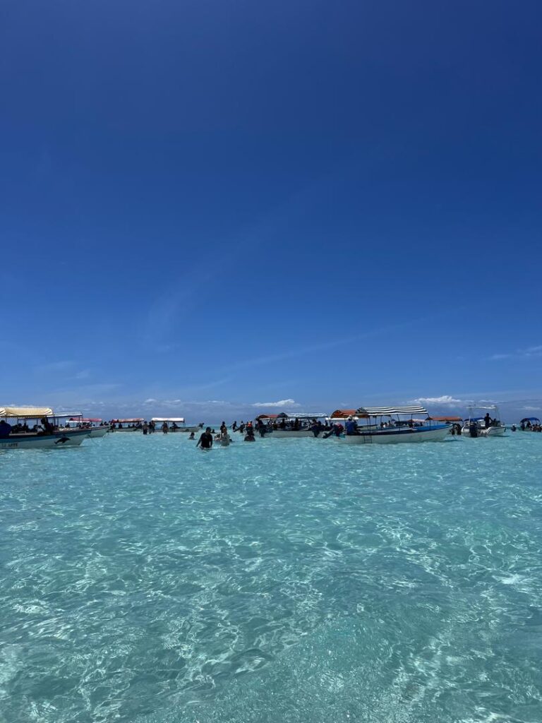 Mnemba Snorkeling & Turtles